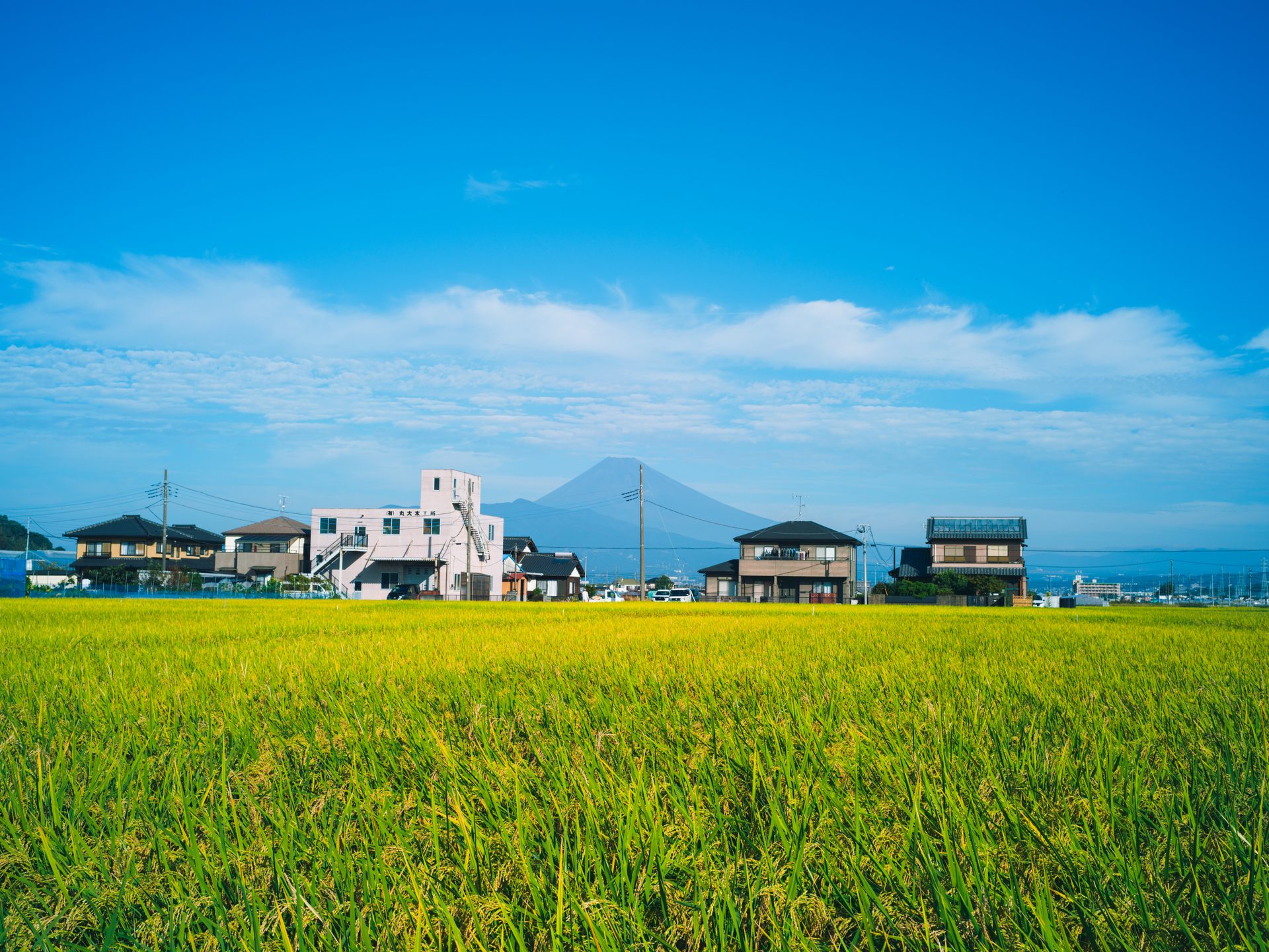 源氏庵のある風景。黄金色に実った田んぼの向こうに望む富士山と住宅街
